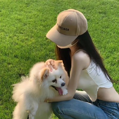 完美拍档2017